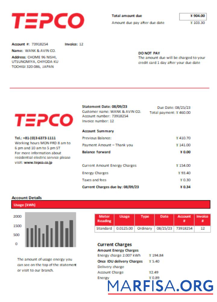 Downloadable Tokyo Electric Power Company (TEPCO) electricity utility business bill, SCR example